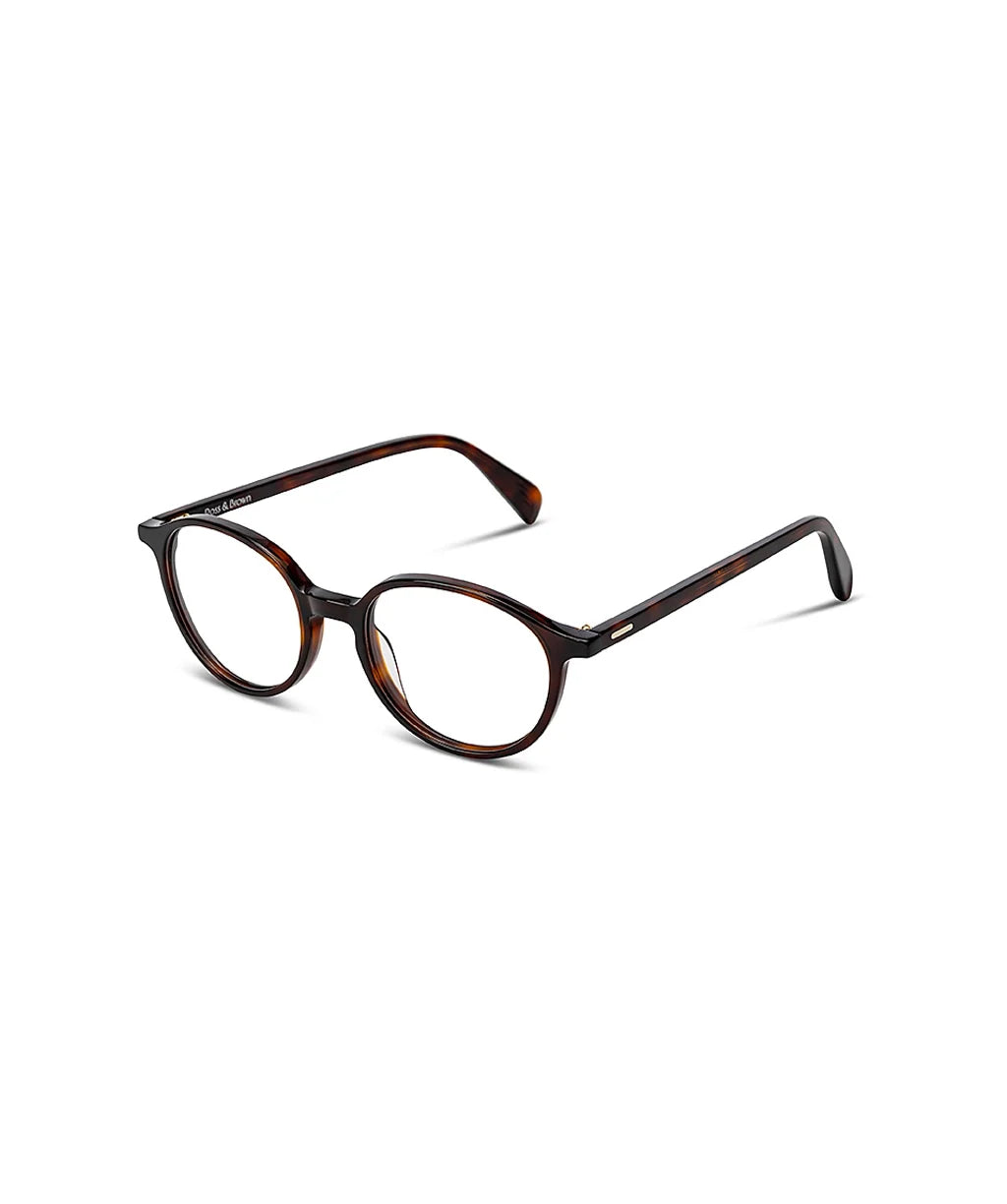 #color_night-tortoise