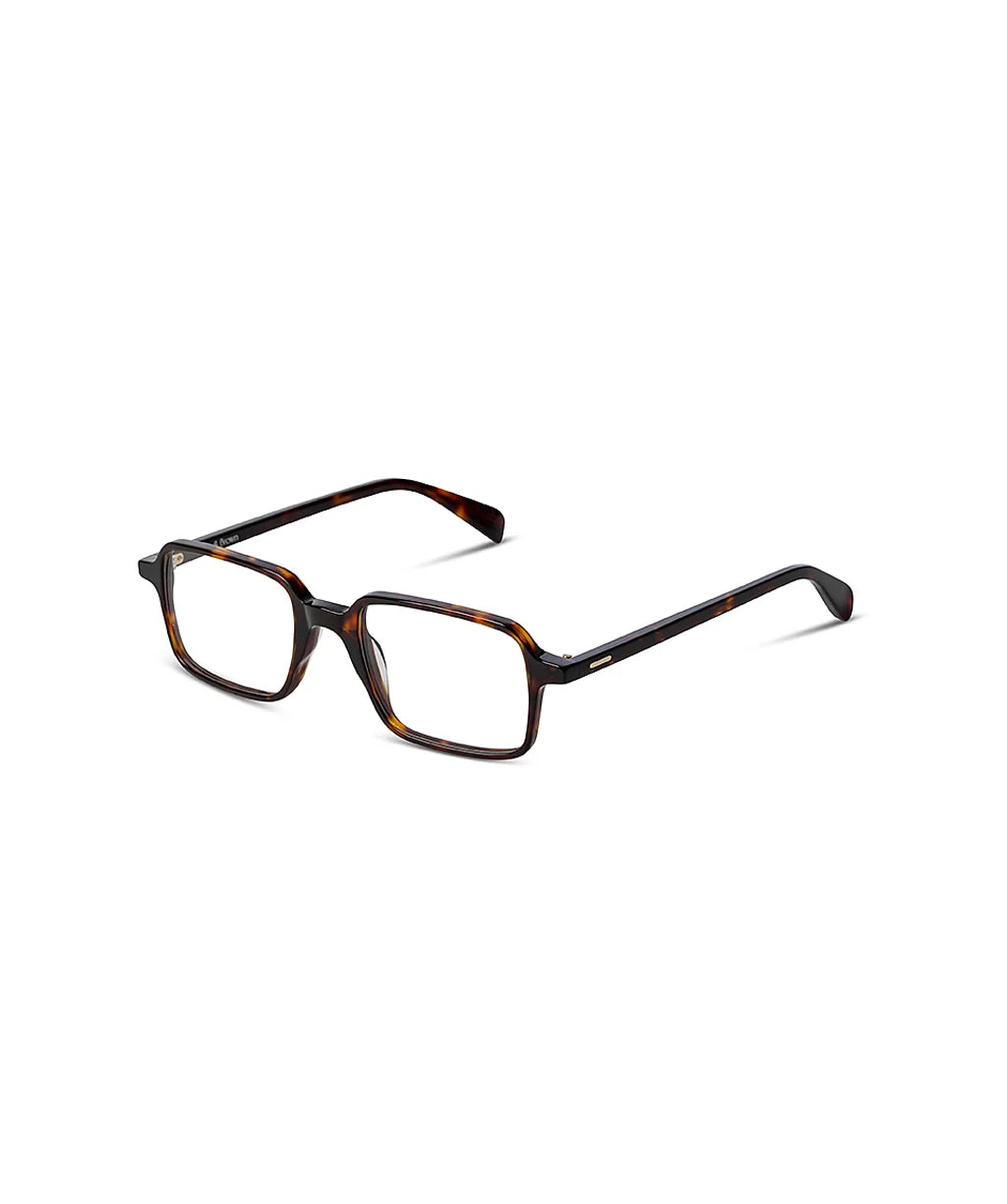 #color_night-tortoise