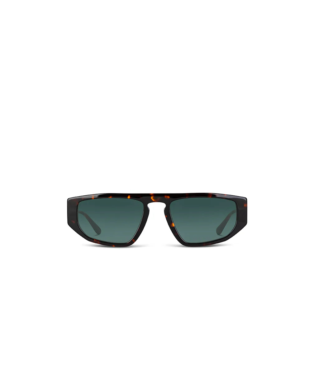 #color_dark-tortoise-shiny-charcoal-classic-green