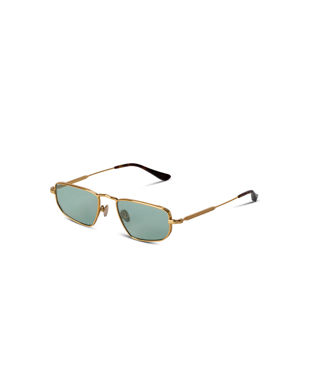 #color_shiny-bling-bling-gold-night-tortoise-light-bush